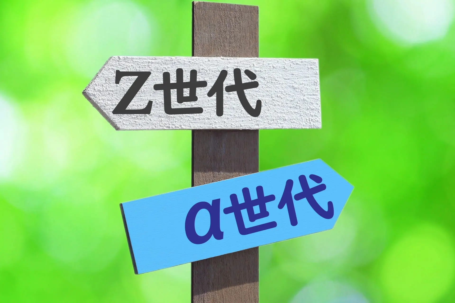 Z世代が切り拓く