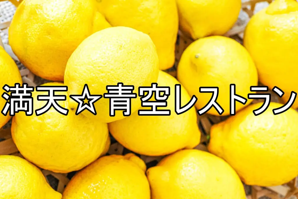 【満天☆青空レストラン】讃岐のレモンで春を楽しむ！話題の絶品料理を紹介
