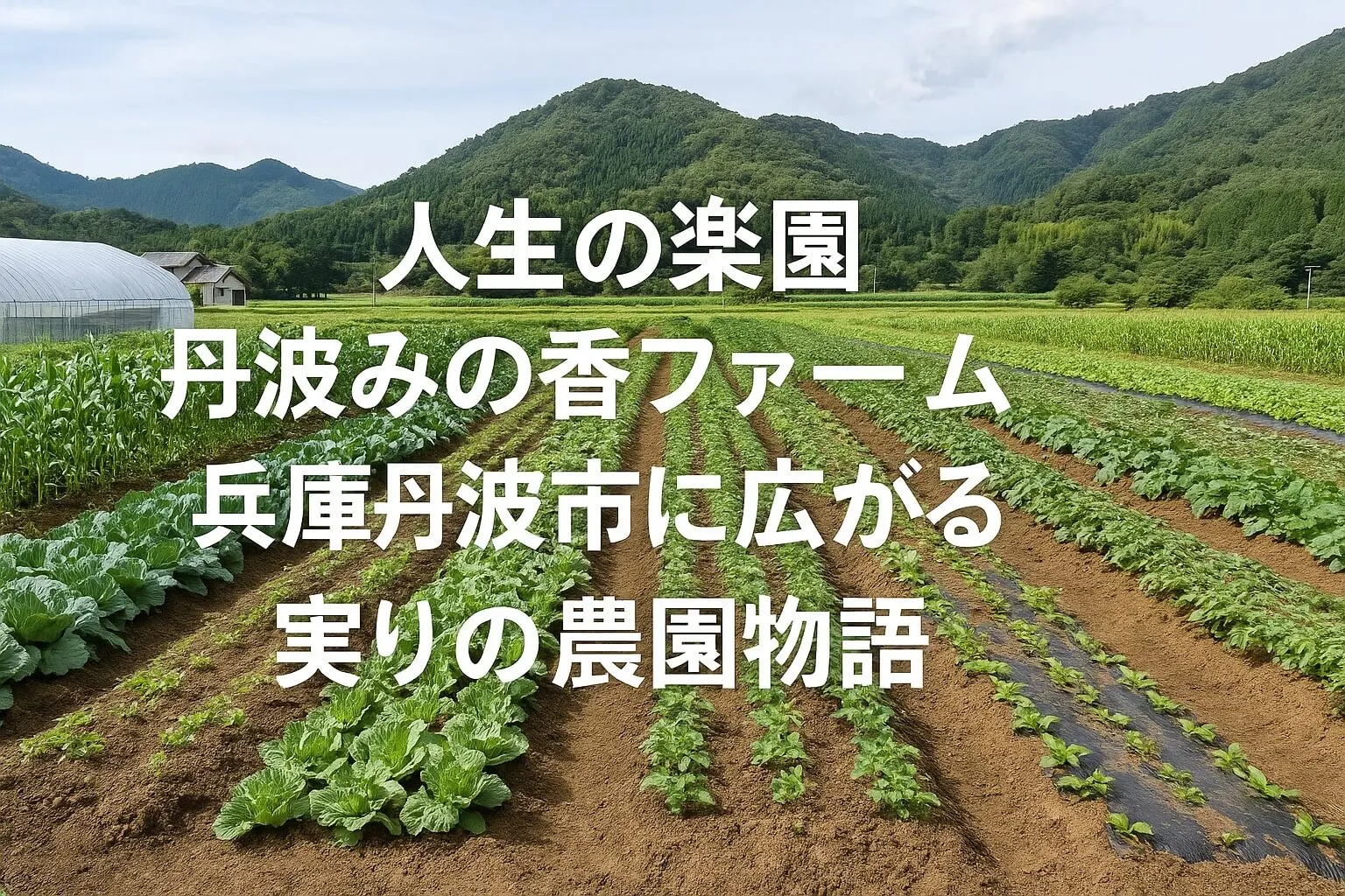 兵庫県丹波市で夫婦が営む「丹波みの香ファーム」の魅力を詳しく紹介。東京から移住し、農業学校で学び本格的に野菜作りを始めた二人の人生ストーリーと、丹波の豊かな自然が育む“美しくて美味しい野菜”の秘密、移住・農業のリアルを分かりやすく解説します。