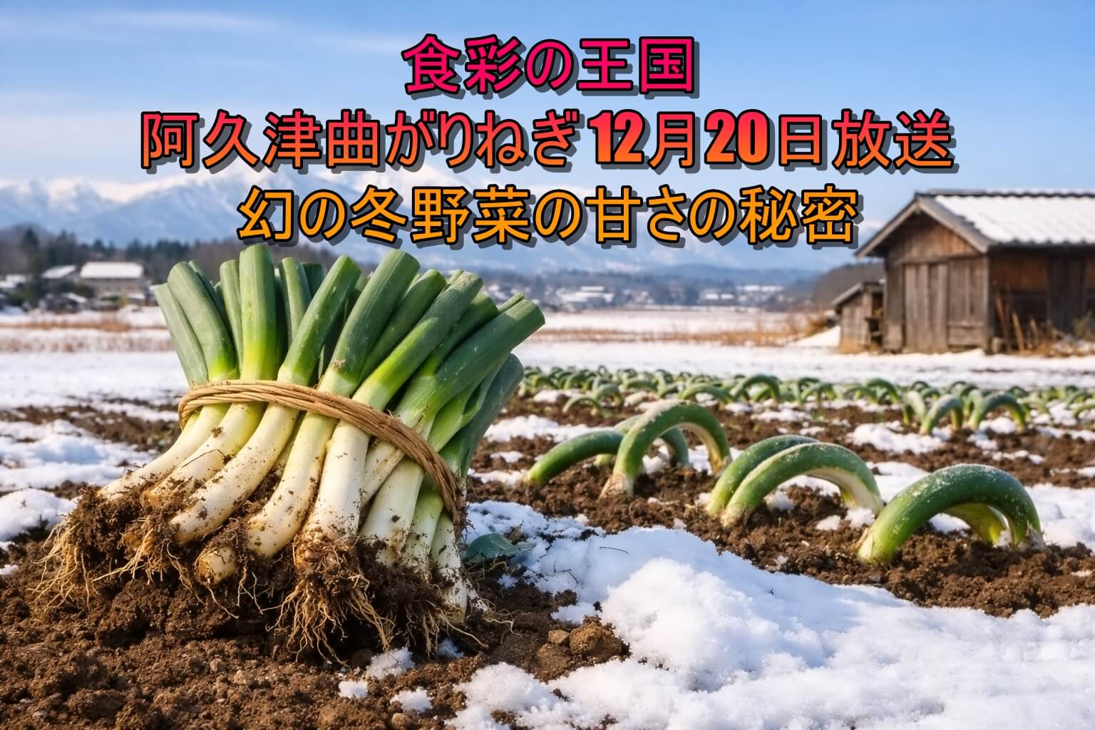 食彩の王国 阿久津曲がりねぎ 12月20日放送 幻の冬野菜の甘さの秘密