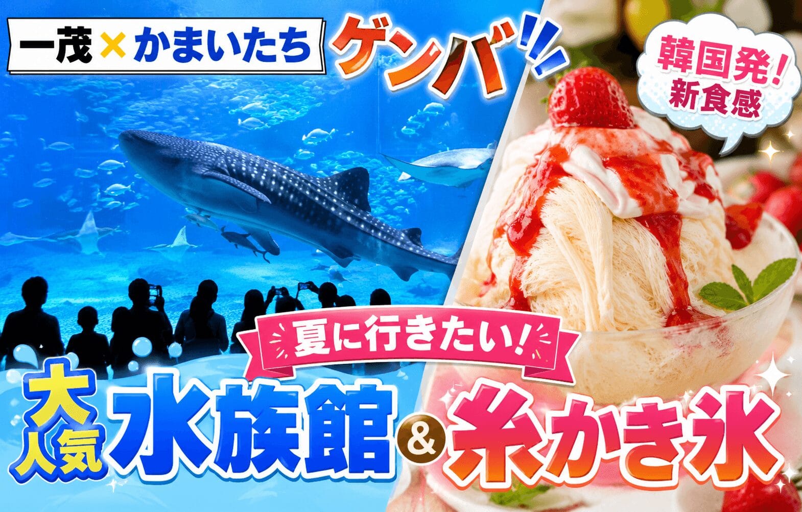 一茂×かまいたち！ゲンバ 夏に行きたい！大人気水族館＆韓国発！新食感の「糸かき氷」のゲンバ