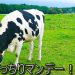 がっちりマンデー 6月1日放送 地元乳業特集で学ぶ成功の秘訣