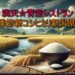新潟県阿賀町発の新品種「新大コシヒカリ」を満天☆青空レストランで特集。新米の季節を彩る美味しさや、ご飯のお供、地元の魅力を徹底解説！